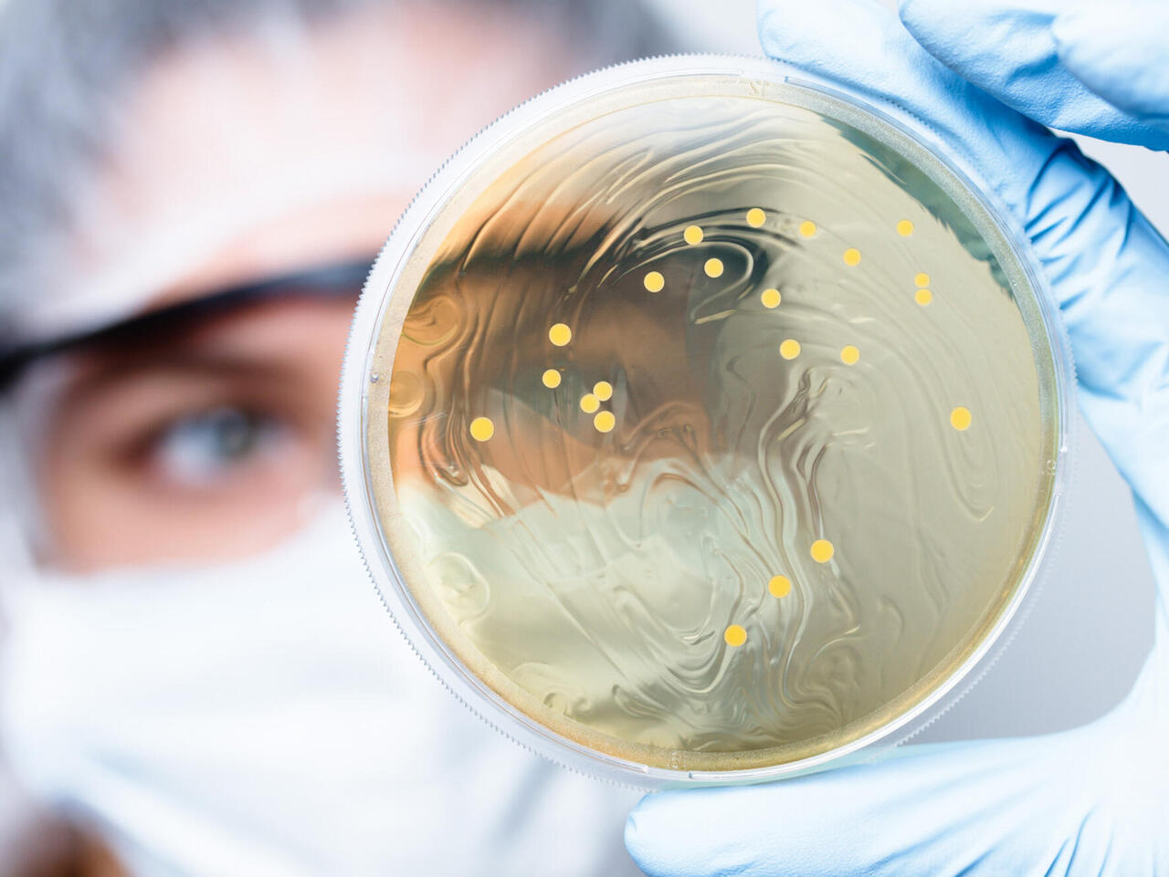 Researcher in the background with petri dish with bacteria in hand (foreground)